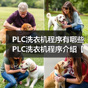 PLC洗衣机程序有哪些 PLC洗衣机程序介绍【详解】(图2) PLC洗衣机程序有哪些 PLC洗衣机程序介绍【详解】(图2)