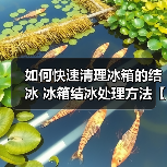 如何快速清理冰箱的结冰 冰箱结冰处理方法【详解】(图2) 如何快速清理冰箱的结冰 冰箱结冰处理方法【详解】(图2)