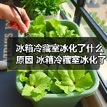 冰箱冷藏室冰化了什么原因 冰箱冷藏室冰化了的原因【详解】（图1）