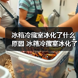 冰箱冷藏室冰化了什么原因 冰箱冷藏室冰化了的原因【详解】（图3）
