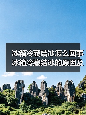 冰箱冷藏结冰怎么回事 冰箱冷藏结冰的原因及解决方法【详解】(图4) 冰箱冷藏结冰怎么回事 冰箱冷藏结冰的原因及解决方法【详解】(图4)
