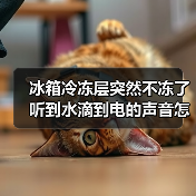 冰箱冷冻层突然不冻了听到水滴到电的声音怎么回事【详解】（图2）