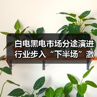 白电黑电市场分途演进 行业步入“下半场”激战（图1）