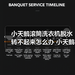 小天鹅滚筒洗衣机脱水转不起来怎么办 小天鹅滚筒洗衣机脱水转不起来原因及解决方法【详解】(图4) 小天鹅滚筒洗衣机脱水转不起来怎么办 小天鹅滚筒洗衣机脱水转不起来原因及解决方法【详解】(图4)
