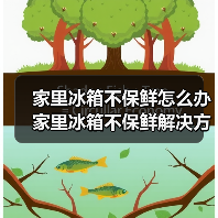 家里冰箱不保鲜怎么办 家里冰箱不保鲜解决方法【详解】(图1) 家里冰箱不保鲜怎么办 家里冰箱不保鲜解决方法【详解】(图1)