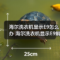 海尔洗衣机显示E9怎么办 海尔洗衣机显示E9解决方法【详解】(图2) 海尔洗衣机显示E9怎么办 海尔洗衣机显示E9解决方法【详解】(图2)