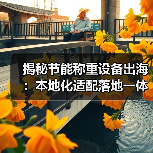 揭秘节能称重设备出海:本地化适配落地一体化如何少走3年弯路(图3) 揭秘节能称重设备出海:本地化适配落地一体化如何少走3年弯路(图3)