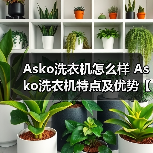 Asko洗衣机怎么样 Asko洗衣机特点及优势【详解】（图3）