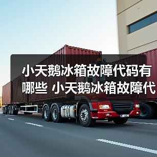 小天鹅冰箱故障代码有哪些 小天鹅冰箱故障代码解决方法【详解】(图3) 小天鹅冰箱故障代码有哪些 小天鹅冰箱故障代码解决方法【详解】(图3)