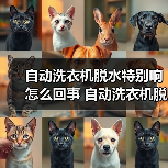 自动洗衣机脱水特别响怎么回事 自动洗衣机脱水特别响的原因及解决方法【详解】(图3) 自动洗衣机脱水特别响怎么回事 自动洗衣机脱水特别响的原因及解决方法【详解】(图3)