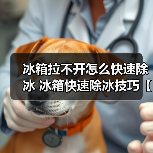 冰箱拉不开怎么快速除冰 冰箱快速除冰技巧【详解】(图1) 冰箱拉不开怎么快速除冰 冰箱快速除冰技巧【详解】(图1)