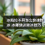 冰箱拉不开怎么快速除冰 冰箱快速除冰技巧【详解】(图4) 冰箱拉不开怎么快速除冰 冰箱快速除冰技巧【详解】(图4)