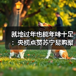 就地过年也能年味十足:央视点赞苏宁易购聚焦零售保障年货供应(图1) 就地过年也能年味十足:央视点赞苏宁易购聚焦零售保障年货供应(图1)