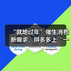“就地过年”催生消费新需求,拼多多上“一人用”小家电热销(图3) “就地过年”催生消费新需求,拼多多上“一人用”小家电热销(图3)