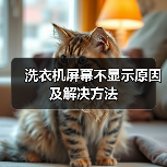 洗衣机屏幕不显示原因及解决方法（图1）