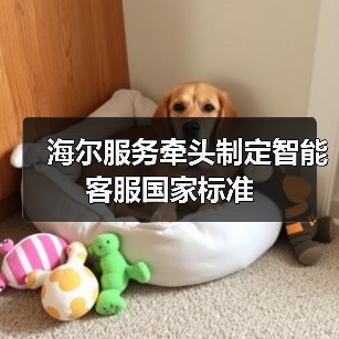 海尔服务牵头制定智能客服国家标准(图4) 海尔服务牵头制定智能客服国家标准(图4)