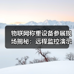 物联网称重设备参展现场揭秘:远程监控演示一体化作业如何让客户当场签单(图1) 物联网称重设备参展现场揭秘:远程监控演示一体化作业如何让客户当场签单(图1)