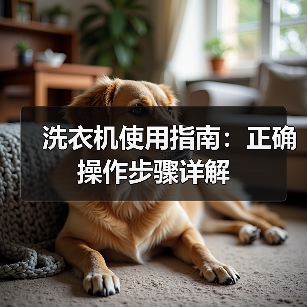 洗衣机使用指南:正确操作步骤详解(图3) 洗衣机使用指南:正确操作步骤详解(图3)