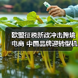 欧盟征税新政冲击跨境电商 中国品牌迎转型机遇(图1) 欧盟征税新政冲击跨境电商 中国品牌迎转型机遇(图1)