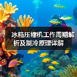冰箱压缩机工作周期解析及制冷原理详解(图4) 冰箱压缩机工作周期解析及制冷原理详解(图4)
