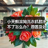 小天鹅滚筒洗衣机脱水不了怎么办?原因及处理方法全解析(图3) 小天鹅滚筒洗衣机脱水不了怎么办?原因及处理方法全解析(图3)