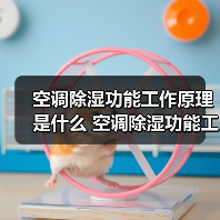 空调除湿功能工作原理是什么 空调除湿功能工作原理介绍【详解】(图3) 空调除湿功能工作原理是什么 空调除湿功能工作原理介绍【详解】(图3)