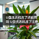 U盘洗衣机洗了还能用吗 U盘洗衣机洗了注意事项【详解】(图3) U盘洗衣机洗了还能用吗 U盘洗衣机洗了注意事项【详解】(图3)