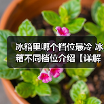 冰箱里哪个档位最冷 冰箱不同档位介绍【详解】（图2）