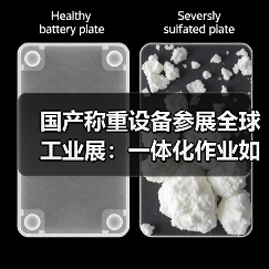国产称重设备参展全球工业展:一体化作业如何扎实推进?(图4) 国产称重设备参展全球工业展:一体化作业如何扎实推进?(图4)