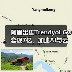 阿里出售Trendyol GO套现7亿，加速AI与云计算布局（图4）