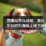 国美双平台战略：真快乐如何引爆线上线下融合？（图4）