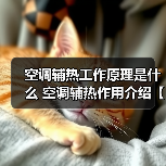 空调辅热工作原理是什么 空调辅热作用介绍【详解】(图1) 空调辅热工作原理是什么 空调辅热作用介绍【详解】(图1)