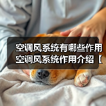 空调风系统有哪些作用 空调风系统作用介绍【详解】(图1) 空调风系统有哪些作用 空调风系统作用介绍【详解】(图1)