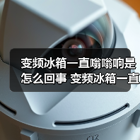 变频冰箱一直嗡嗡响是怎么回事 变频冰箱一直嗡嗡响解决方法【详解】（图1）