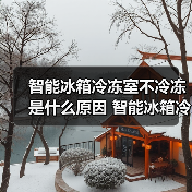 智能冰箱冷冻室不冷冻是什么原因 智能冰箱冷冻室不冷冻解决方法【详解】（图3）