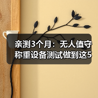 亲测3个月:无人值守称重设备测试做到这5点,自动识别达标一体化作业效率翻倍(图1) 亲测3个月:无人值守称重设备测试做到这5点,自动识别达标一体化作业效率翻倍(图1)
