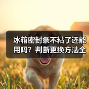冰箱密封条不粘了还能用吗？判断更换方法全解析（图3）