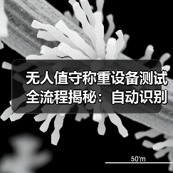 无人值守称重设备测试全流程揭秘:自动识别达标一体化作业如何推进有序?(图4) 无人值守称重设备测试全流程揭秘:自动识别达标一体化作业如何推进有序?(图4)