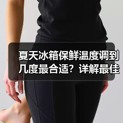夏天冰箱保鲜温度调到几度最合适?详解最佳温度范围(图1) 夏天冰箱保鲜温度调到几度最合适?详解最佳温度范围(图1)