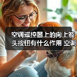 空调遥控器上的向上箭头按钮有什么作用 空调遥控器上的向上箭头按钮作用介绍【详解】(图4) 空调遥控器上的向上箭头按钮有什么作用 空调遥控器上的向上箭头按钮作用介绍【详解】(图4)