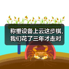 称重设备上云这步棋,我们花了三年才走对(图4) 称重设备上云这步棋,我们花了三年才走对(图4)