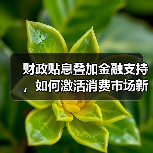 财政贴息叠加金融支持，如何激活消费市场新动能（图2）