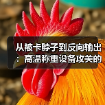 从被卡脖子到反向输出:高温称重设备攻关的2000天实战笔记(图4) 从被卡脖子到反向输出:高温称重设备攻关的2000天实战笔记(图4)