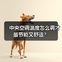 中央空调温度怎么调才最节能又舒适?(图3) 中央空调温度怎么调才最节能又舒适?(图3)