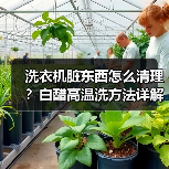 洗衣机脏东西怎么清理?白醋高温洗方法详解(图2) 洗衣机脏东西怎么清理?白醋高温洗方法详解(图2)