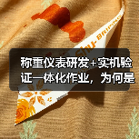 称重仪表研发+实机验证一体化作业，为何是品质分水岭？（图2）