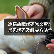冰箱故障代码怎么查?常见代码及解决方法全解析(图4) 冰箱故障代码怎么查?常见代码及解决方法全解析(图4)