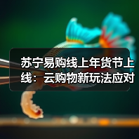 苏宁易购线上年货节上线：云购物新玩法应对春节消费热潮（图3）