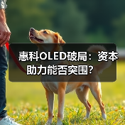 惠科OLED破局:资本助力能否突围?(图1) 惠科OLED破局:资本助力能否突围?(图1)
