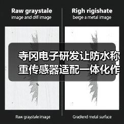 寺冈电子研发让防水称重传感器适配一体化作业落地见效,3个真实案例告诉你(图3) 寺冈电子研发让防水称重传感器适配一体化作业落地见效,3个真实案例告诉你(图3)